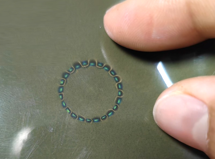 配图为24极多对极磁环